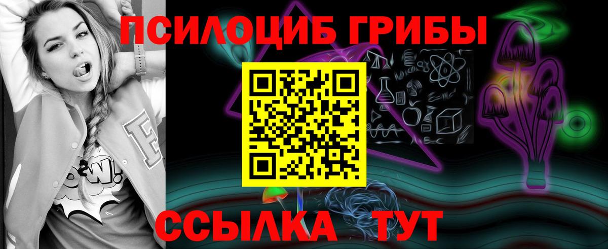 Псилоцибиновые грибы Cubensis  Вход с VPN  Галлюциногенные грибы Cubensis  Дзержинск 